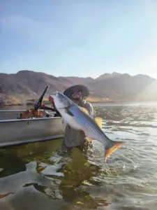 Willow Beach fishing near Las Vegas
