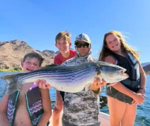 trout fishing Colorado River Arizona