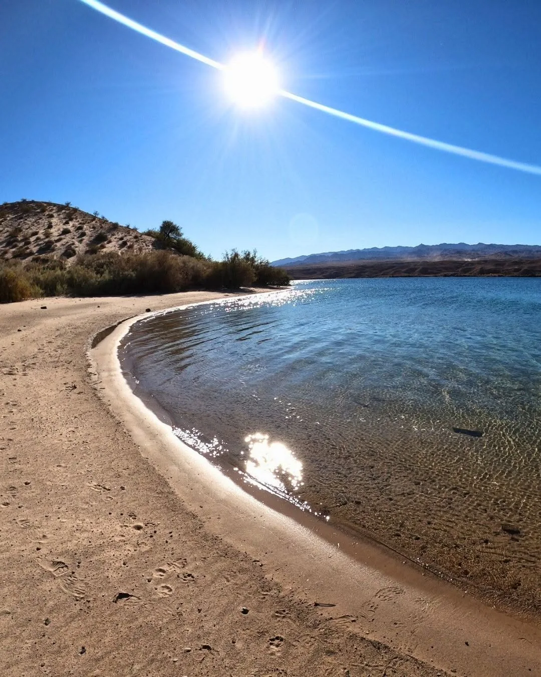 Swimming Colorado River summer